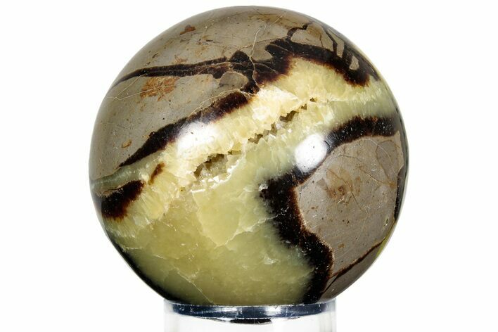 Polished Septarian Sphere - Madagascar #230390
